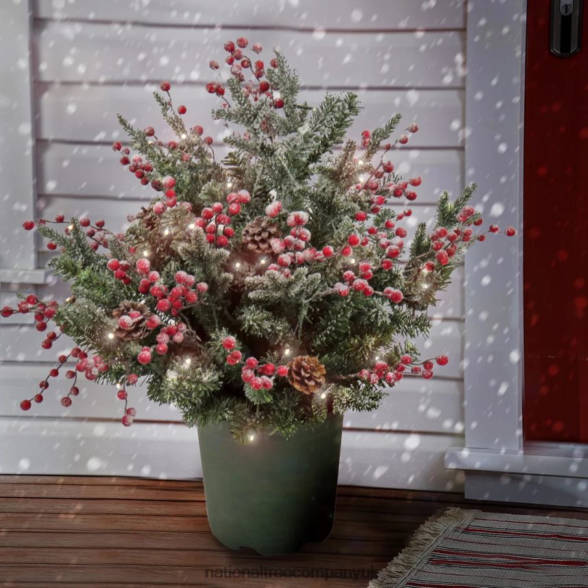 Greenery | National Tree Company 28\ HGTV Home Collection Pre-Lit Frosted Traditions Planter Filler F2L4F447